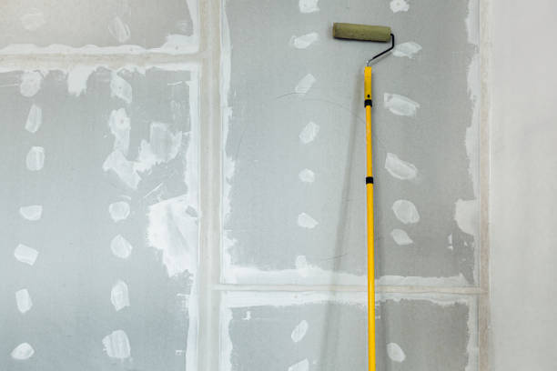 Best Commercial Mold Inspection  in Madeira Beach, FL