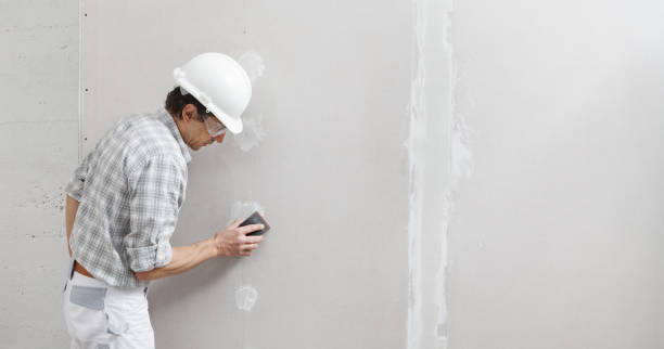 Best Forensic Mold Investigation  in Madeira Beach, FL
