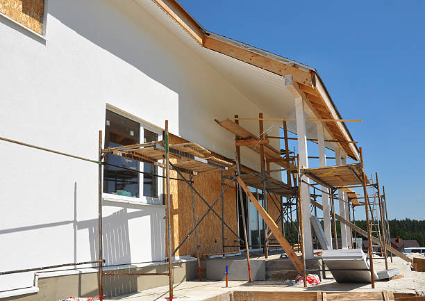 Best Black Mold Removal  in Madeira Beach, FL